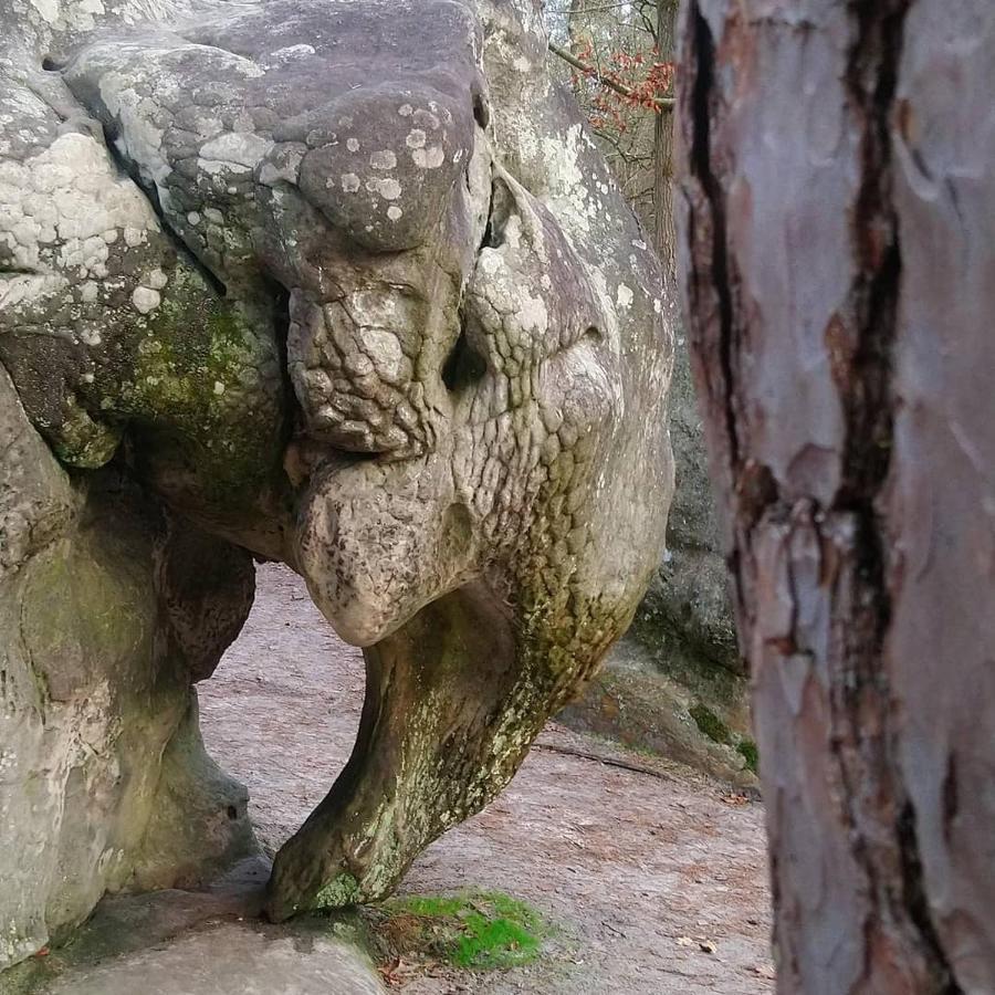 La Bastide De Barbizon Panzió Kültér fotó