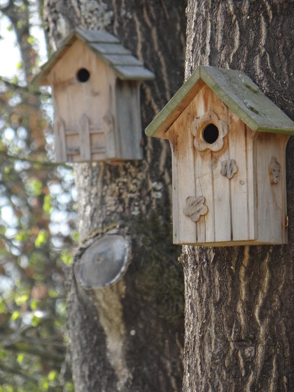 La Bastide De Barbizon Panzió Kültér fotó